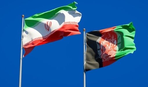 ظرفیت‌های کشاورزی و دامپروری افغانستان فرصت تجاری برای ایران است