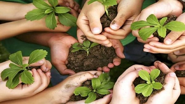 روز گیاهپزشکی یادآور اهمیت آموزش، ترویج و مشارکت مردمی در حفاظت از پوشش گیاهی است