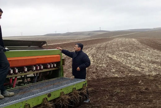 تغییر تاریخ کاشت نخود از بهاره به پاییزه در شهرستان میانه