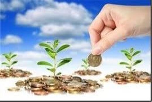 2300 هکتار دیمزار بهشهر بیمه شد/ انجام بیمه حتی در روزهای تعطیل
