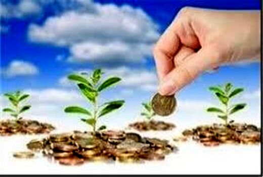 2300 هکتار دیمزار بهشهر بیمه شد/ انجام بیمه حتی در روزهای تعطیل