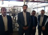 بررسی وضعیت کارخانه شیر فردوس در بازدید رئیس سازمان