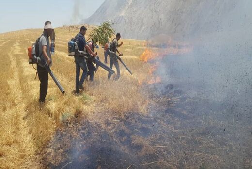 بیش از ۱۰۰ هکتار از پس چرای مزارع کشاورزان روستای شیخ‌مکان طعمه حریق شد