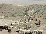 خرید تضمینی ۲۰۰ هزار راس دام عشایر خراسان شمالی آغاز شد