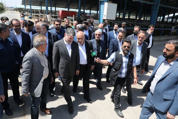 وزیر جهاد کشاورزی از یک واحد پرورش گاو شیری در بویین زهرا بازدید کرد