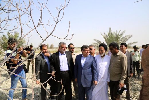 اجرای عملیات مبارزه با افت ملخ صحرایی در 700 هزار هکتار