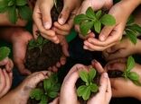 صندوق خرد زنان روستایی حلال مشکلات اشتغالزایی در سال جهش تولید