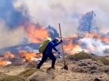  9جان‌باخته آتش‌سوزی جنگل‌ها «فداکار خدمت» شناخته شدند