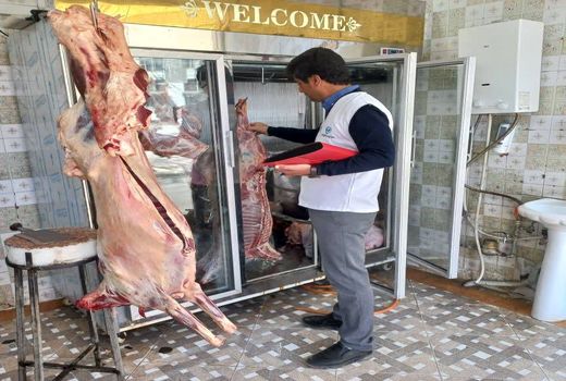 طرح تشدید نظارت دامپزشکی در فارس آغاز شد
