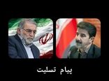 پیام تسلیت رئیس سازمان جهاد کشاورزی استان کرمانشاه در پی شهادت محسن فخری زاده