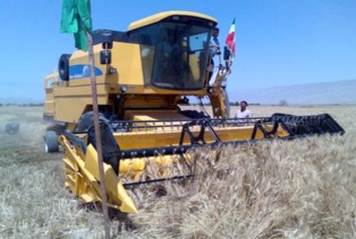 پرداخت وجوه گندم کاران در 48 ساعت