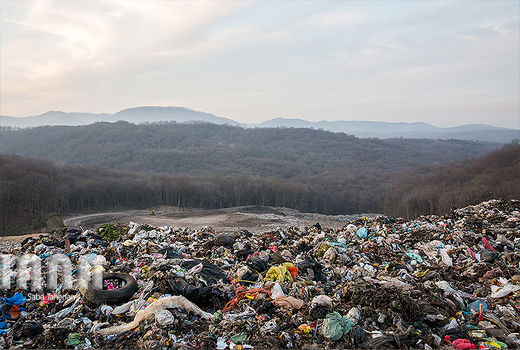 زباله‌دانی به وسعت یک جنگل
