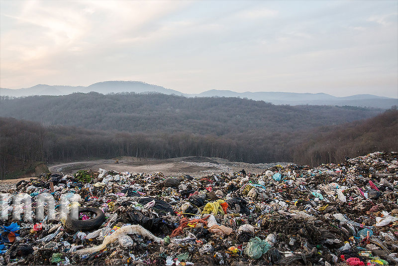 زباله دانی به وسعت یک جنگل