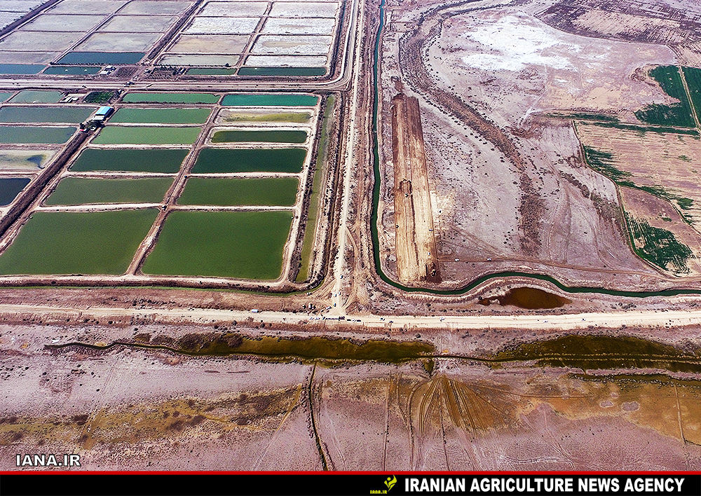 بیابان‌زایی