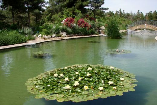 باغ گیاه‌شناسی کاشان ثبت ملی شد/ از پژوهش تا گردشگری