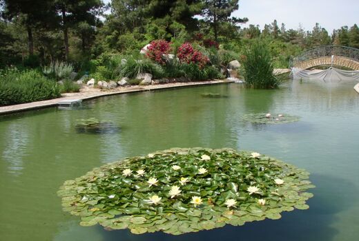 باغ گیاه‌شناسی کاشان ثبت ملی شد/ از پژوهش تا گردشگری