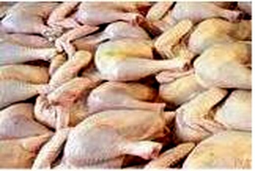 تولید 6800 تن گوشت سفید در نور/ ارزش اقتصادی 1500 میلیاردی