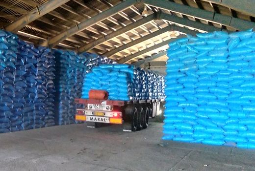 بیش از8500تن انواع کودهای کشاورزی توزیع شد