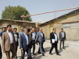 اهتمام مدیران برای تسهیل فعالیت تولیدکنندگان 