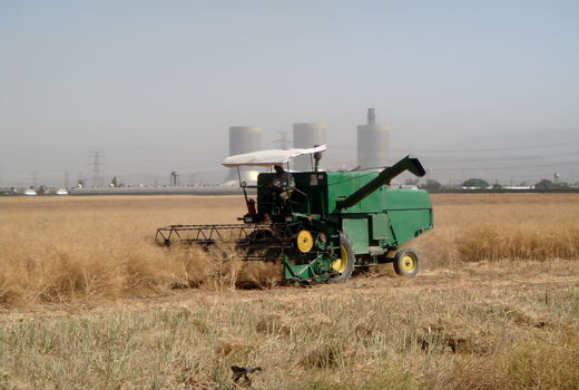 اجرای طرح معاینه فنی۵۲ دستگاه کمباین در شهرستان البرز