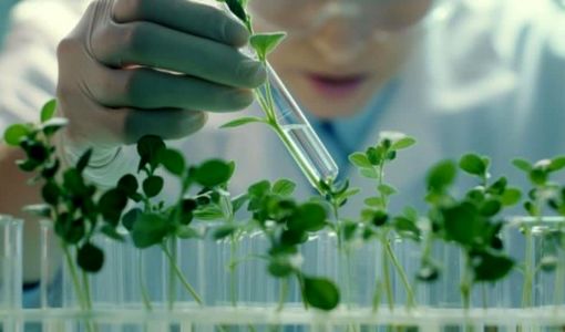 شتاب در اصلاح ارقام باغی با فناوری‌های نوین/کاهش ۸ساله چرخه به‌نژادی و تولید محصولات مقاوم