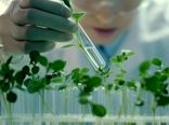 شتاب در اصلاح ارقام باغی با فناوری‌های نوین/کاهش ۸ساله چرخه به‌نژادی و تولید محصولات مقاوم