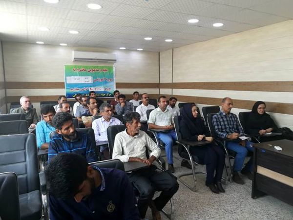 400هکتار از اراضی کشاورزی شهرستان بوشهر به زیر کشت کلزا می رود