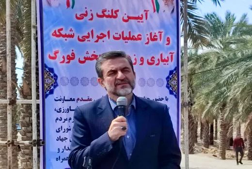 افزایش ۳۰ درصدی تولید گندم در کشور برآورد می‌شود/ لزوم اجرای صحیح الگوی کشت در کشور