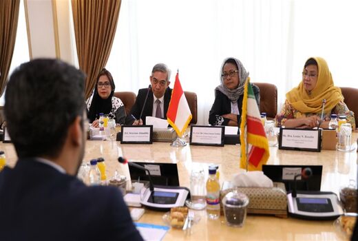 48 درصد زنان کاربر اینترنت هستند