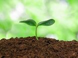رونمایی از یک نرم افزار مدیریت خاک در انگلیس