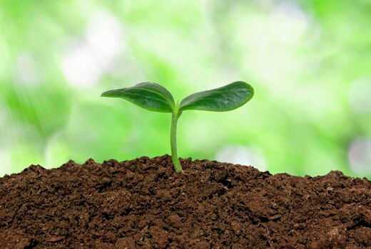 رونمایی از یک نرم افزار مدیریت خاک در انگلیس