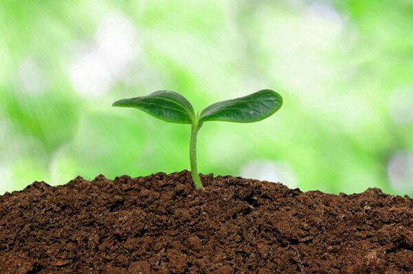 رونمایی از یک نرم افزار مدیریت خاک در انگلیس