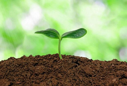 رونمایی از یک نرم افزار مدیریت خاک در انگلیس