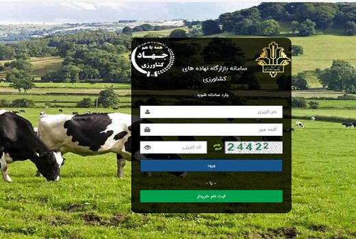 لزوم تخصیص نهاده بر اساس مشاهدات میدانی/ جذب ذرت ۹ هزار تن افزایش یافت