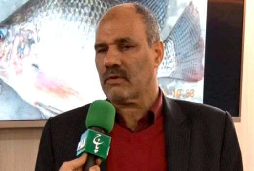 افزایش ۳۰ درصدی تولید آبزیان با بازسازی آب بندهای استان های شمالی کشور