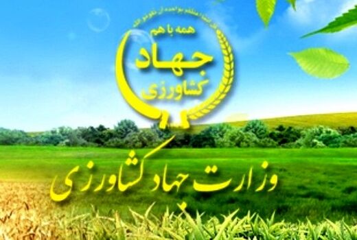 تدوین سه شیوه نامه کاربردی در وزارت جهاد کشاورزی
