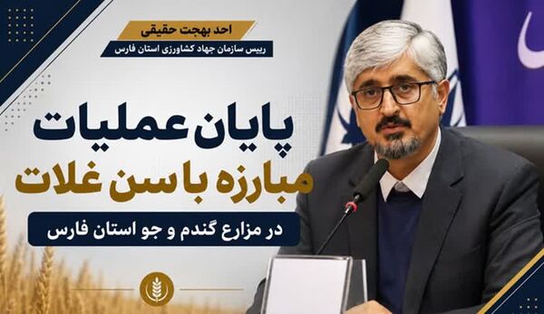 بیش از ۲۰۰ هزار هکتار از مزارع گندم و جو فارس از گزند آفت سن حفظ شد