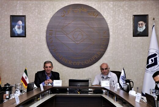 وزارت جهاد کشاورزی در واگذاری تصدی‌گری‌ها به تشکل‌ها جدی است
