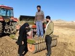 رتبه برتر استان آذربایجان شرقی در اجرای طرح الگوی کشت در کشور