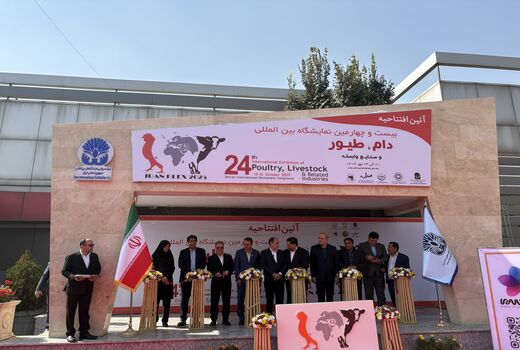 گام نوین صنعت دامپروری با رونمایی از «بازار نوین خوراک دام ۲۰۲۵»