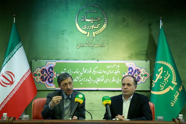 
طرح‌های جهش تولید کشاورزی تقویت شده‌اند/ حمایت از تولید برنج و گوشت در اولویت