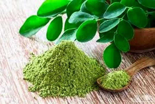 ترویج کشت گیاهان دارویی در ماهشهر