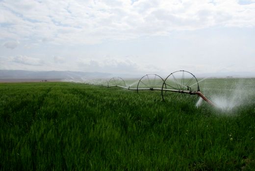 افزایش ۱۸۵ درصدی اجرای سیستم نوین آبیاری در شهرستان سربیشه