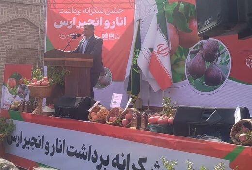 جشن شکرانه برداشت انار و انجیر ارس برگزار شد