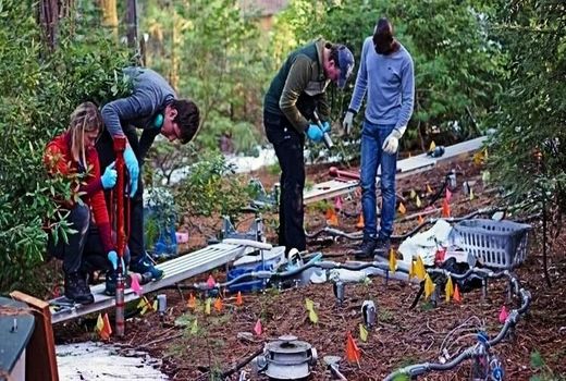 یک تحقیق: گرمای زمین باعث از دست رفتن کربن ذخیره در عمق خاک می‌شود