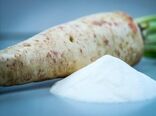 چیکوری؛ منبع اینولین با انرژی کمتر از ساکارز و کاربرد در صنایع غذایی