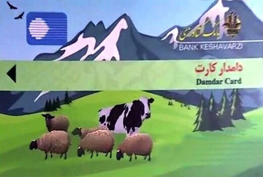 تخصیص ۱۹ میلیارد تومان برای صدور دامدار کارت به چهارمحال و بختیاری 