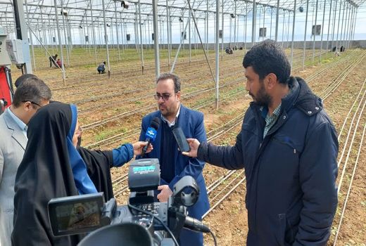 رشد ۲.۵ برابری مساحت گلخانه‌‎های کشور