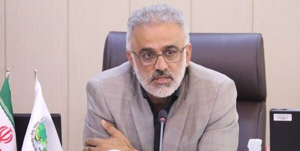جنگل‌کاری اقدامی زیرساختی برای امنیت زیستی کشور است