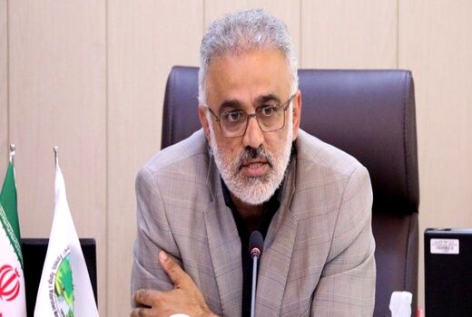 جنگل‌کاری اقدامی زیرساختی برای امنیت زیستی کشور است